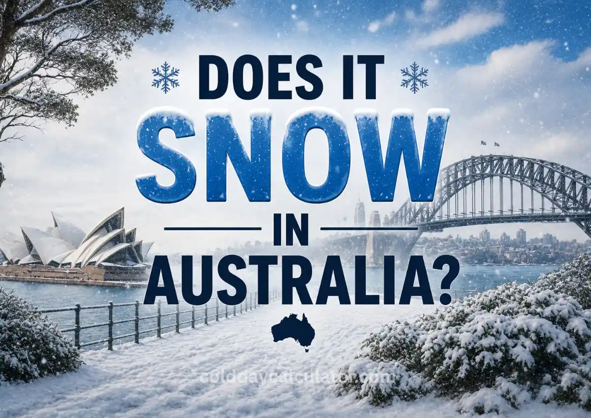 Does It Snow in Australia? Full Guide