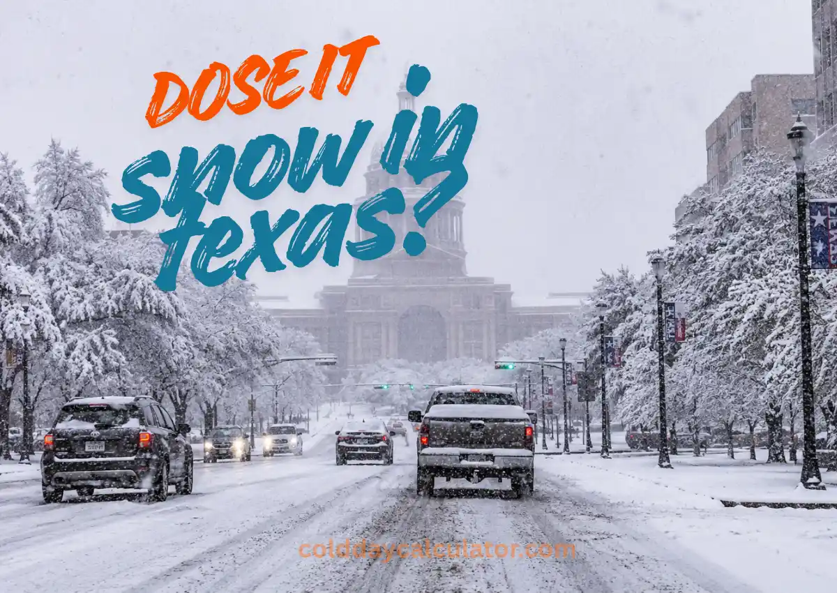 Does It Snow in Texas? Cities That Get Snow