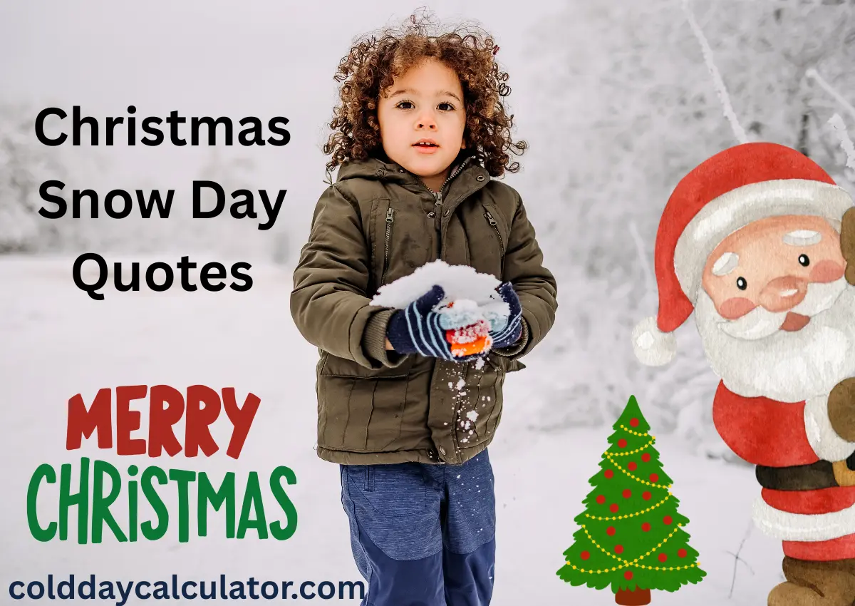 Christmas snow day quotes with festive snow scenery