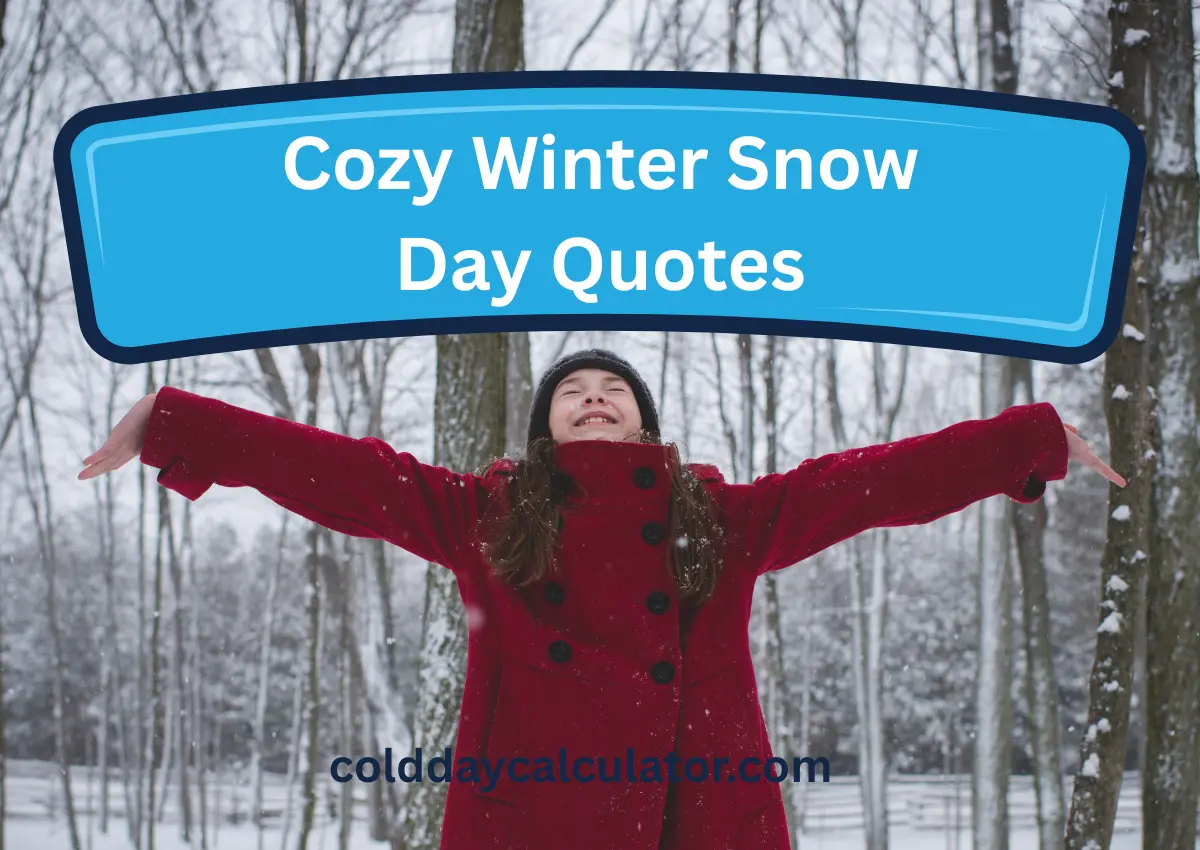 Cozy winter snow day quotes beside fireplace and snowfall