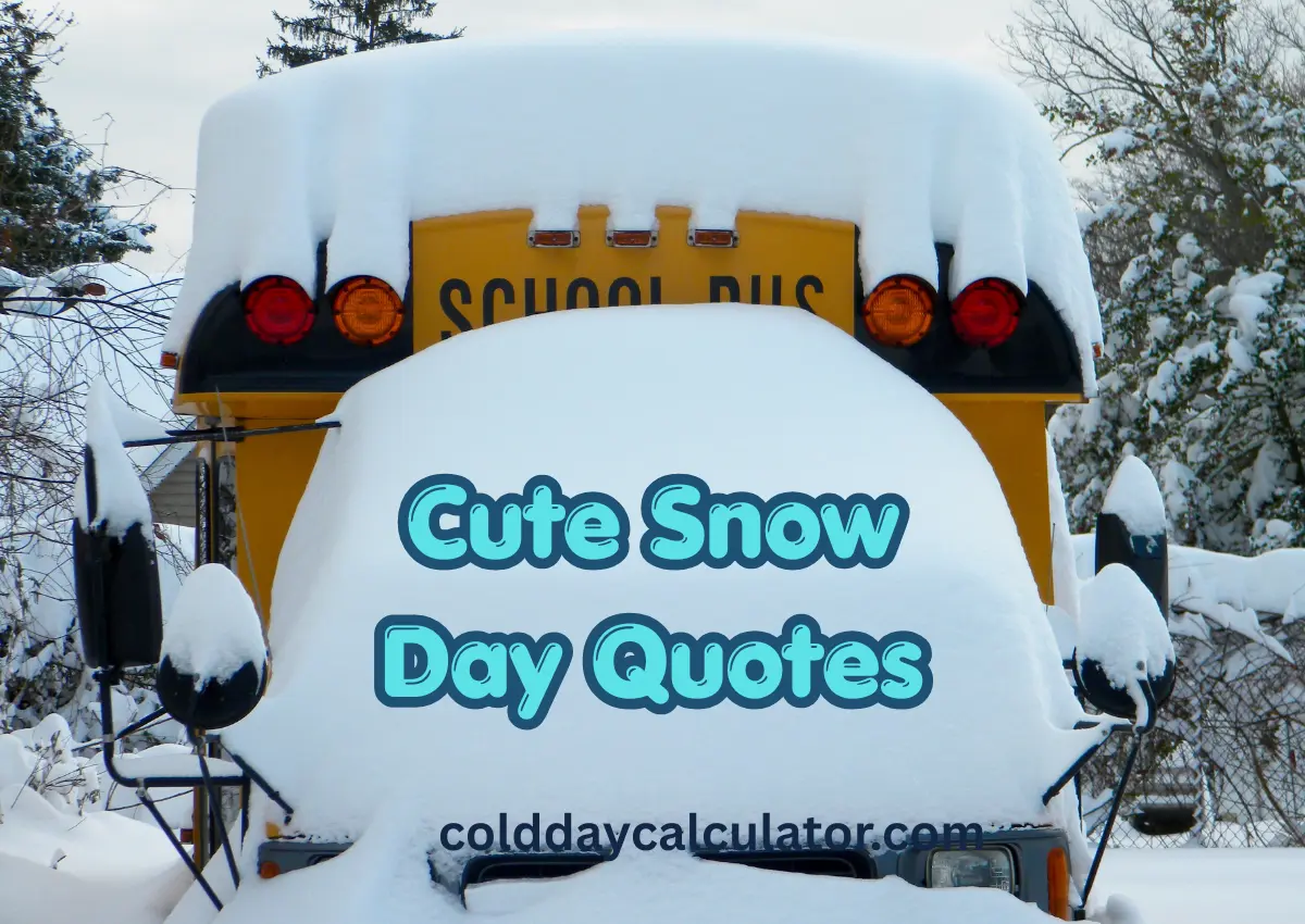 Cute snow day quotes with snowy aesthetic theme