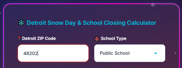Enter Detroit ZIP code and school type