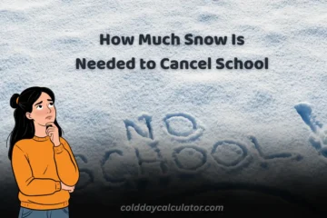 How Much Snow Is Needed to Cancel School